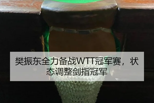 樊振东全力备战WTT冠军赛，状态调整剑指冠军